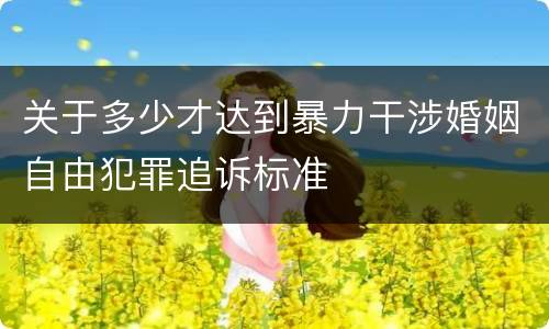 关于多少才达到暴力干涉婚姻自由犯罪追诉标准