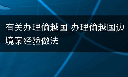 有关办理偷越国 办理偷越国边境案经验做法