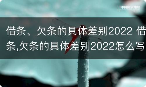借条、欠条的具体差别2022 借条,欠条的具体差别2022怎么写