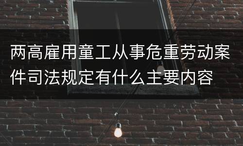 两高雇用童工从事危重劳动案件司法规定有什么主要内容