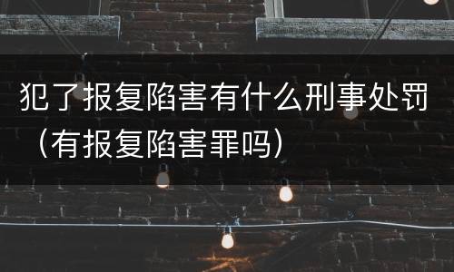 犯了报复陷害有什么刑事处罚（有报复陷害罪吗）