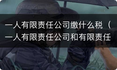 一人有限责任公司缴什么税（一人有限责任公司和有限责任公司纳税）
