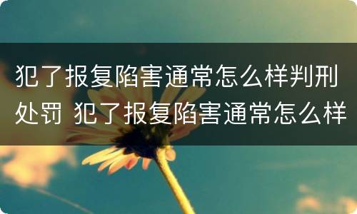犯了报复陷害通常怎么样判刑处罚 犯了报复陷害通常怎么样判刑处罚呢