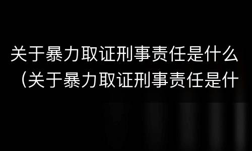 关于暴力取证刑事责任是什么（关于暴力取证刑事责任是什么案件）
