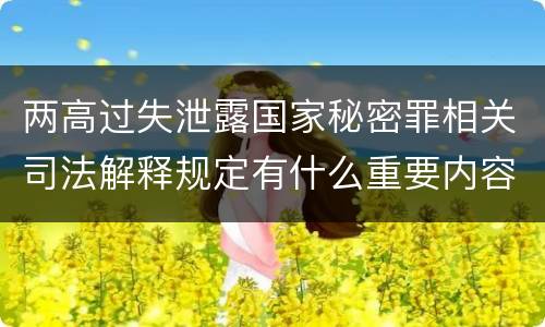 两高过失泄露国家秘密罪相关司法解释规定有什么重要内容