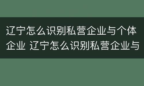 辽宁怎么识别私营企业与个体企业 辽宁怎么识别私营企业与个体企业的关系