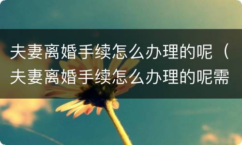 夫妻离婚手续怎么办理的呢（夫妻离婚手续怎么办理的呢需要多久）