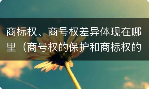 商标权、商号权差异体现在哪里（商号权的保护和商标权的保护一样是全国性范围的）