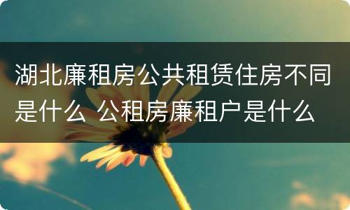 湖北廉租房公共租赁住房不同是什么 公租房廉租户是什么