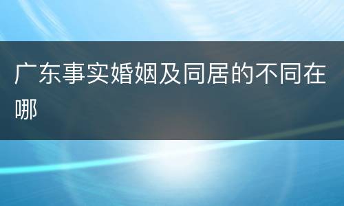广东事实婚姻及同居的不同在哪