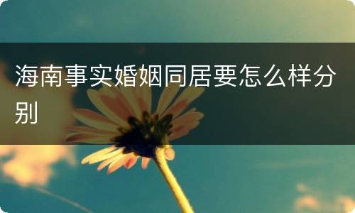 海南事实婚姻同居要怎么样分别