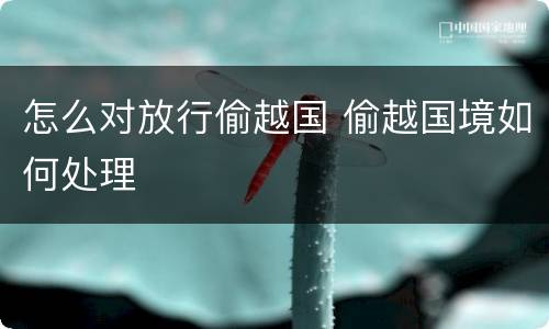 怎么对放行偷越国 偷越国境如何处理