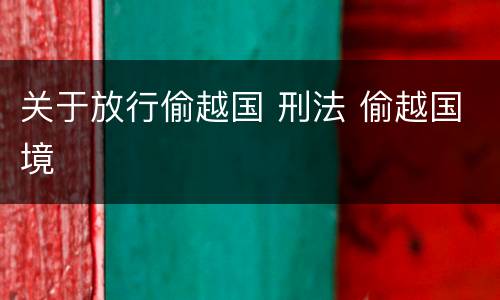关于放行偷越国 刑法 偷越国境