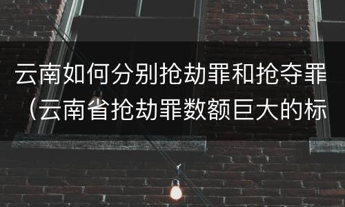 云南如何分别抢劫罪和抢夺罪（云南省抢劫罪数额巨大的标准）
