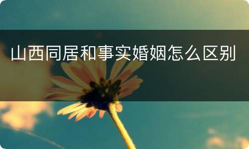 山西同居和事实婚姻怎么区别