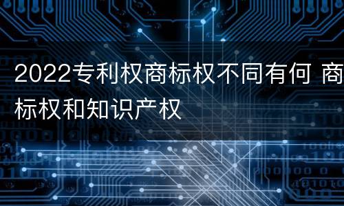 2022专利权商标权不同有何 商标权和知识产权