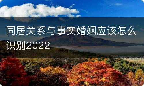 同居关系与事实婚姻应该怎么识别2022