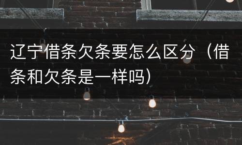 辽宁借条欠条要怎么区分（借条和欠条是一样吗）