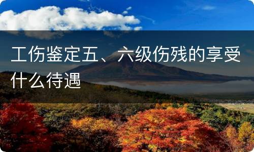 工伤鉴定五、六级伤残的享受什么待遇