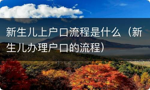 新生儿上户口流程是什么（新生儿办理户口的流程）