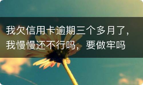 我欠信用卡逾期三个多月了，我慢慢还不行吗，要做牢吗
