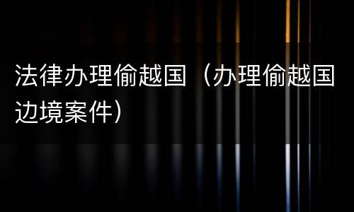 法律办理偷越国（办理偷越国边境案件）