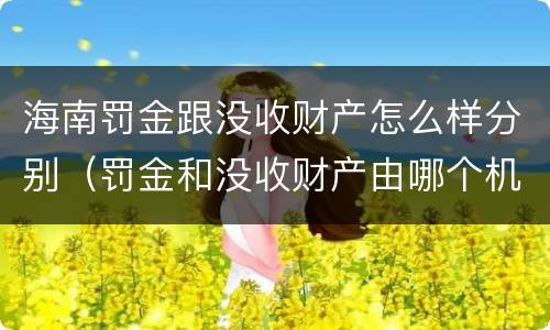 海南罚金跟没收财产怎么样分别（罚金和没收财产由哪个机关执行）