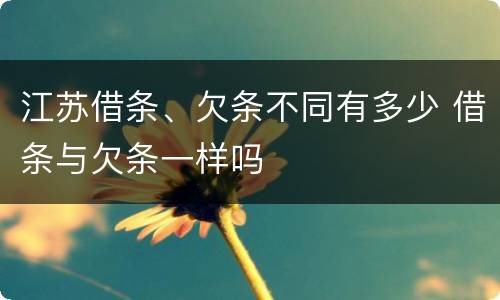 江苏借条、欠条不同有多少 借条与欠条一样吗