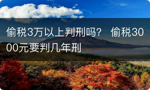 偷税3万以上判刑吗？ 偷税3000元要判几年刑