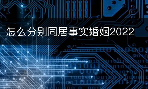 怎么分别同居事实婚姻2022