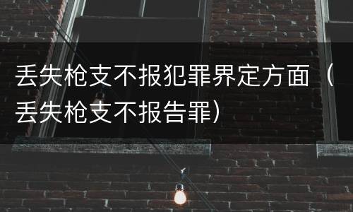 丢失枪支不报犯罪界定方面（丢失枪支不报告罪）