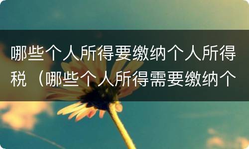 哪些个人所得要缴纳个人所得税（哪些个人所得需要缴纳个人所得税）