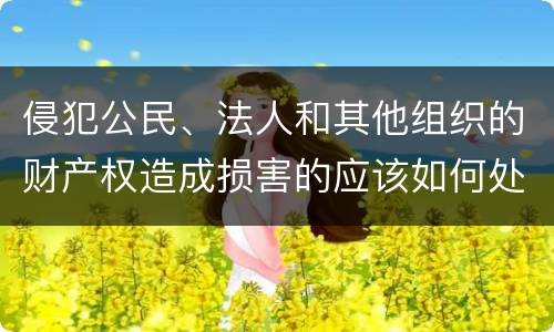 侵犯公民、法人和其他组织的财产权造成损害的应该如何处理