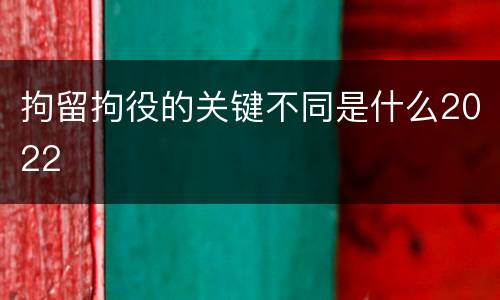 拘留拘役的关键不同是什么2022