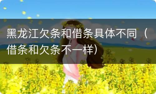 黑龙江欠条和借条具体不同（借条和欠条不一样）