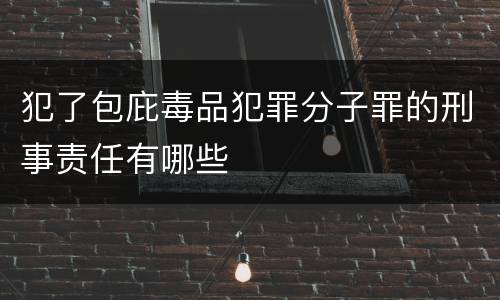 犯了包庇毒品犯罪分子罪的刑事责任有哪些