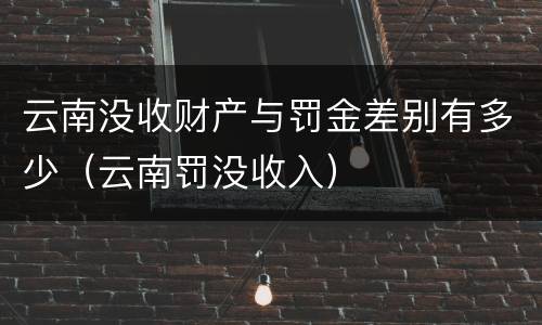 云南没收财产与罚金差别有多少（云南罚没收入）