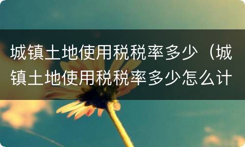 城镇土地使用税税率多少（城镇土地使用税税率多少怎么计算）