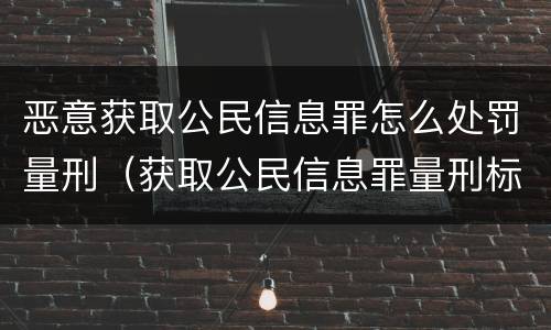 恶意获取公民信息罪怎么处罚量刑（获取公民信息罪量刑标准）