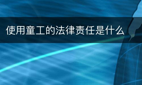 使用童工的法律责任是什么