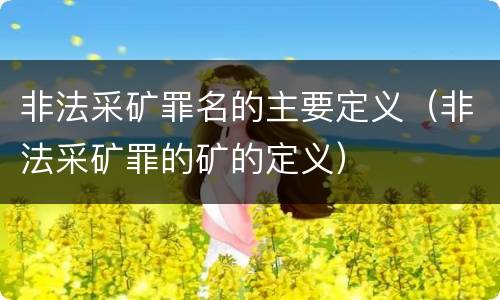非法采矿罪名的主要定义（非法采矿罪的矿的定义）