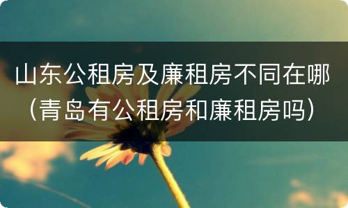 山东公租房及廉租房不同在哪（青岛有公租房和廉租房吗）