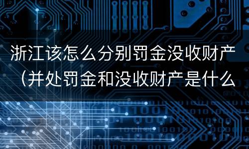 浙江该怎么分别罚金没收财产（并处罚金和没收财产是什么意思）