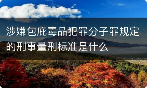 涉嫌包庇毒品犯罪分子罪规定的刑事量刑标准是什么
