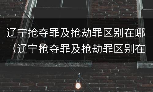 辽宁抢夺罪及抢劫罪区别在哪（辽宁抢夺罪及抢劫罪区别在哪里）