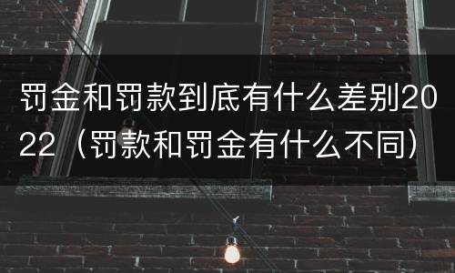 罚金和罚款到底有什么差别2022（罚款和罚金有什么不同）