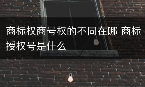 商标权商号权的不同在哪 商标授权号是什么