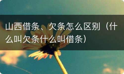 山西借条、欠条怎么区别（什么叫欠条什么叫借条）