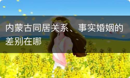 内蒙古同居关系、事实婚姻的差别在哪