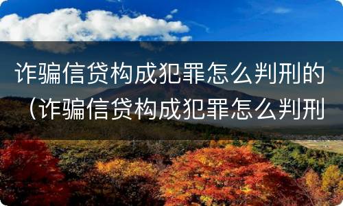 诈骗信贷构成犯罪怎么判刑的（诈骗信贷构成犯罪怎么判刑的呢）
